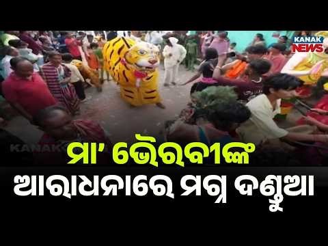 Kandhamal Immersed in Devotion! Danda Jatra Creates Spiritual Vibes