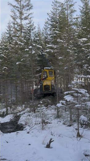 Ecolog 688 Steephunter with LogMax 5000