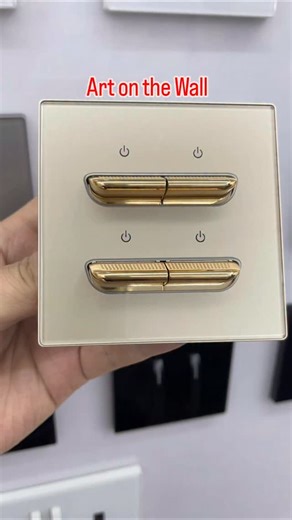 wang xiaobao | for over 30 years we are specializing produce a high quality switches and sockets trusted to all over the world #switch #socket #light... | Instagram