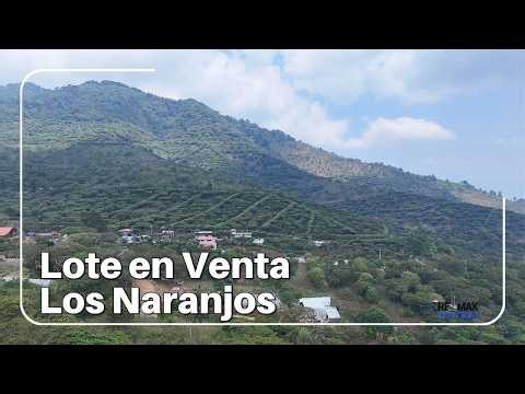 LOTE EN VENTA - LOS NARANJOS, SONSONATE, EL SALVADOR
