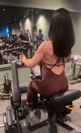 Seated Row Plates Precor