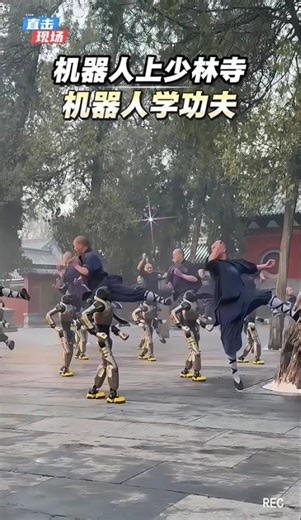 A robot is going to Shaolin Temple to learn kung fu! #robot #ShaolinTemple #robotlearnskungfu #hu...