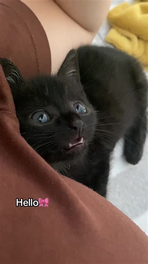 Stunned Reactions That Leave You Speechless