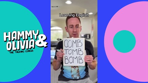 Try Not to Laugh! Best Talking Dog Videos