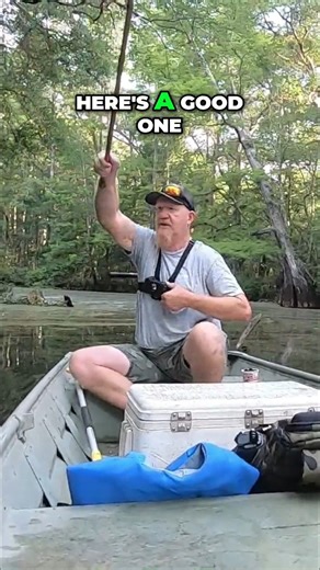 This is why you use a cane pole to fish in a Florida swamp! #fishing #outdoors #bigfish #fish #reel #reels #swampcertified | Stompin Dirt