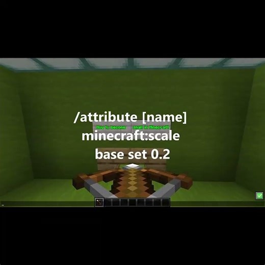 How to change your size in Minecraft java #foreverworld #perfectstart #gaming