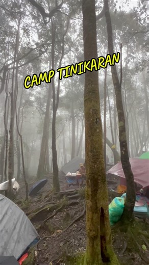 📍Camp Tinikaran is a major campsite on Mt. Apo, located approximately 5.4km from the summit and before the final push to the peak. It is a common resting and camping spot for hikers, typically reached via routes like the Sta. Cruz trail, and is equipped with facilities like potable water and toilets. | Philippines Journey