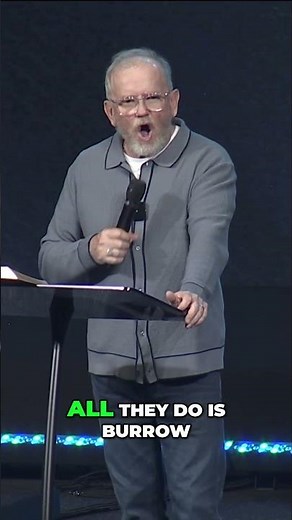 The Mole: Digging, Burrowing, and a Life Underground