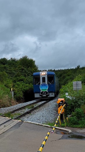 快速HIGH RAIL #快速highrail #小海線 #jr東日本 #キハ110 #気動車 #観光列車 #jr鉄道最高地点 #旅行 #鉄道 #長野 #train #railway #travel #japan