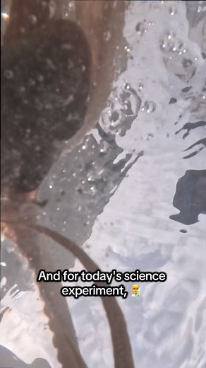 7.8K views · 65 reactions | With the influx of Octopus that I’m catching this year, I felt it was necessary to further showcase their incredible talent of shooting out ink! So cool! #nature #animals #ocean #outdoors #trending #reels #facebook #viral #wildlife #seacreatures #fishing #trendingreels | Conner Rachowicz | Facebook