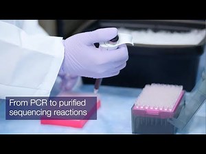 Sanger Sequencing Kit
