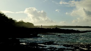 1.1K views · 37 reactions | A truly irresistible...