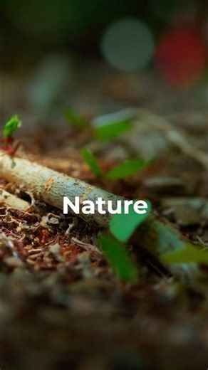 Protecting Our Planet Starts With Better Data