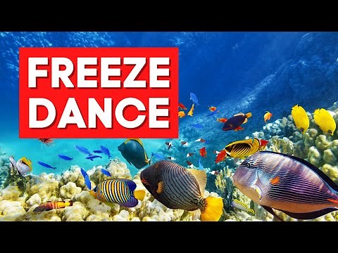 Freeze Dance | Underwater Freeze Dance