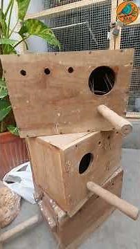 🏠 Nesting Box Surprise for My Fawn Java Finches