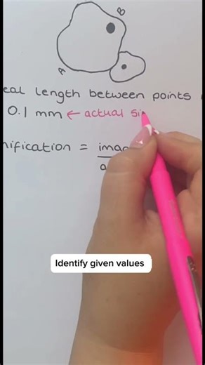 🔬 Magnification Formula in Biology #shorts #biology #revision #teachertips