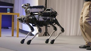 Le robot chien de Boston Dynamics bientôt sur le marché - Le Temps