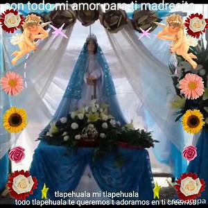 6.4K views · 166 reactions | #tlapehuala_es_mi_pueblo hoy en tu dia madrecita quiero decirte mil grasias y pedirte que nos ilumines a cada uno de tus hijos ....muchas felicidades mi virgencita asunción de maria | Tlapehuala pueblo de los tres encantos | Facebook