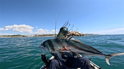 Pesca con carnada viva 🙌 #kayakfishingloscabos #jigging #pescadeportiva #kayak Spectra México 🧲🍀 | Jockall Fishing
