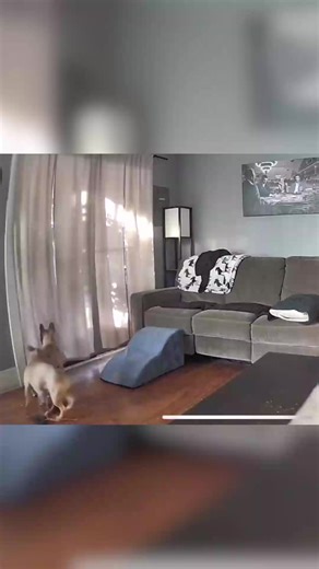 📍ATTENTION HOMEOWNERS📍 Are you ready to upgrade the security of your home to the next level? We are actively seeking homes of all shapes and sizes for a remarkable Home Security Installation project. Click the link below to check if we’re looking for homes in your zip code. It’s totally FREE to check. | Insur Quote