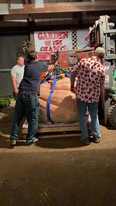109K views · 312 reactions | We have a winner! Congratulations to Ryan Cleveland for growing the heaviest pumpkin at 1777lbs. Thanks to the Giant Pumpkin Team for all the prep work to make the Garden of the Giants a fantastic exhibit area! There were over 1K guesses and it appears 3 people guessed 1776: Congratulations to Bert Hersh, Victoria Gonzales and Jared Vajnar. Please PM us for tickets | Durham Fair | Facebook