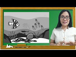 Science 4 Quarter 2 Module 6 Effects of the Environment on the Life Cycle of Organisms