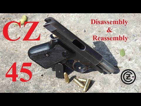 CZ45 Field Strip