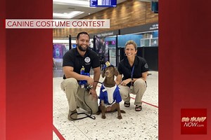 TSA Canine Halloween Costume Contest | Big Island Now