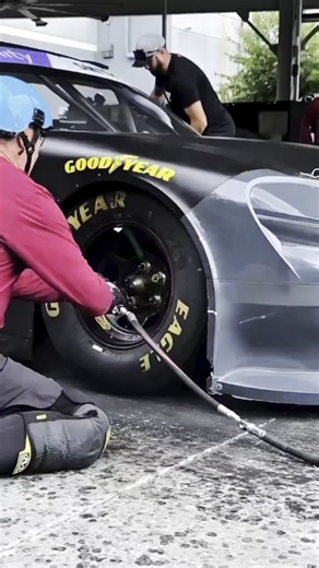 M world service center on Instagram: "Formula 1 service vs 🥱 service 😂😂😂"