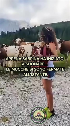 La magia della fisarmonica tra le montagne