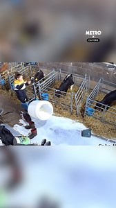 No point crying over spilt milk 🥛 | Metro