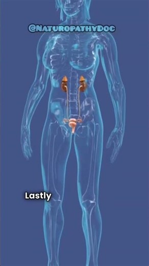 "Acid vs Base: How Your Body Stays Balanced |‪@dr.sovanBNYS‬ #health#acidbasebalance