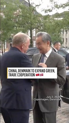 China and Denmark's foreign ministers just met. What did they talk about?