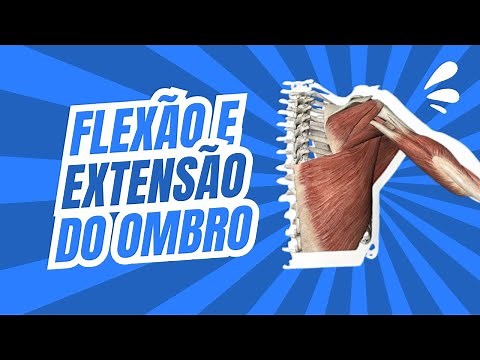 MÚSCULOS que realizam a FLEXÃO e a EXTENSÃO do OMBRO | Cinesiologia do ombro