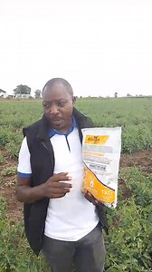 7.8K views · 157 reactions | TOMATO FARMERS This is for you, proudly powered by GREENLIFE CROP PROTECTION AFRICA LTD Avoid losses by always using the best solutions for your crop needs . We are a free call away 0800721495 #UkulimaNiGreenlife #YourGrowthOurGrowth | GREENLIFE CROP PROTECTION AFRICA LTD | Facebook