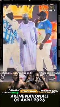 Combat royal 🫅 Modou Lo vs Sa Thies Dina metii 🔥