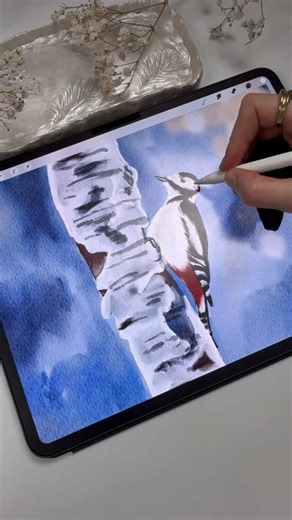 Drawing in Procreate - Digital Watercolor Woodpecker #shorts #procreate #drawing #watercolor