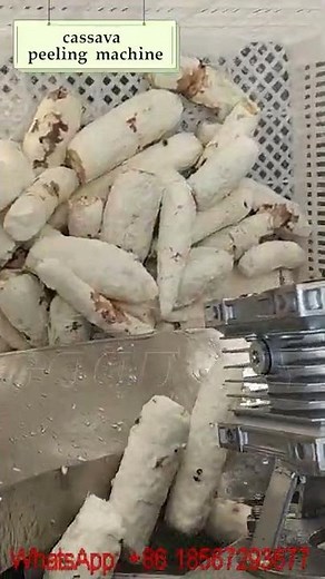 GOODWAY CASSAVA PEELING MACHINE