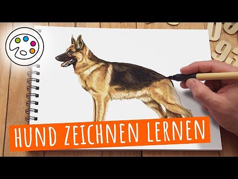 Hund zeichnen - Einführung in das Malen von Hunden