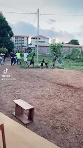 #acroduo #acrobalance #acropora #acroyoga | Alias saïrus