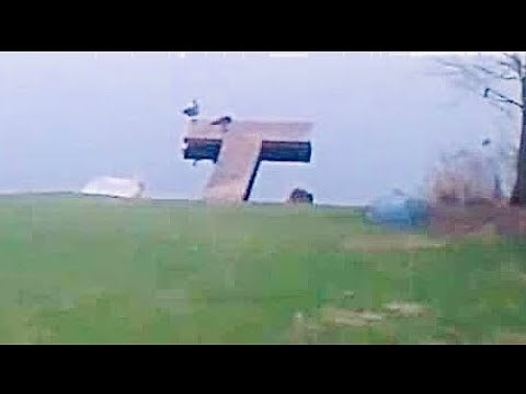 Geese on dock vs laser pointer