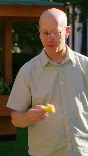 42K views · 107 reactions | Does cantaloupe really taste better when it’s local? Watch to find out! We bring you the freshest produce because we work with local farmers from right around the corner. | Kroger | Facebook