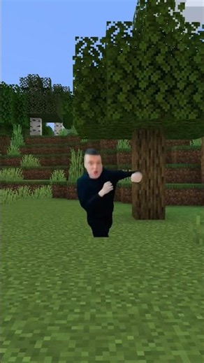 #мем #юмор #меллстрой #шутка #рофл #minecraft #майнкрафт #shorts #fyp