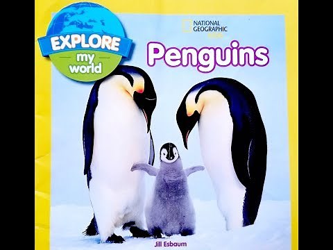 NatGeoKids-Explore My World-Penguins