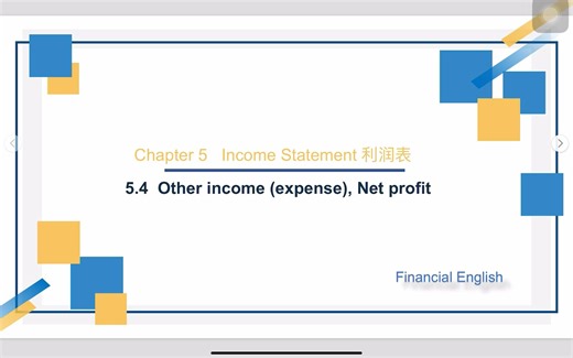 Chapter 5.4 Income Statement 利润表 - Other income (expense), Net profit