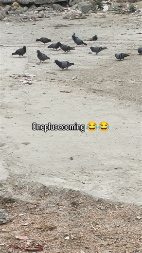 Suresh Ram on Instagram: "Oneplus zooming #trending #sureshram #facebook #viralreels"