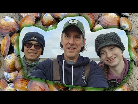 Low Tide Foraging For Clams - Digging For Clams On The Oregon Coast