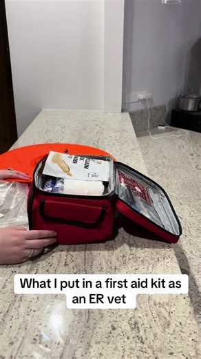 Kit de Primeros Auxilios para Mascotas: Guía de un Veterinario
