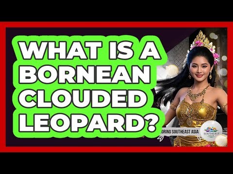 What Is A Bornean Clouded Leopard?