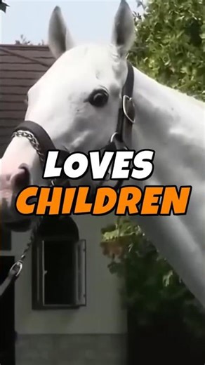 Gold Ship Loves Kids… For A Reason